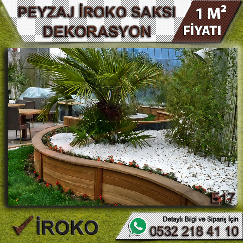 Peyzaj İroko Saksı Dekorasyon